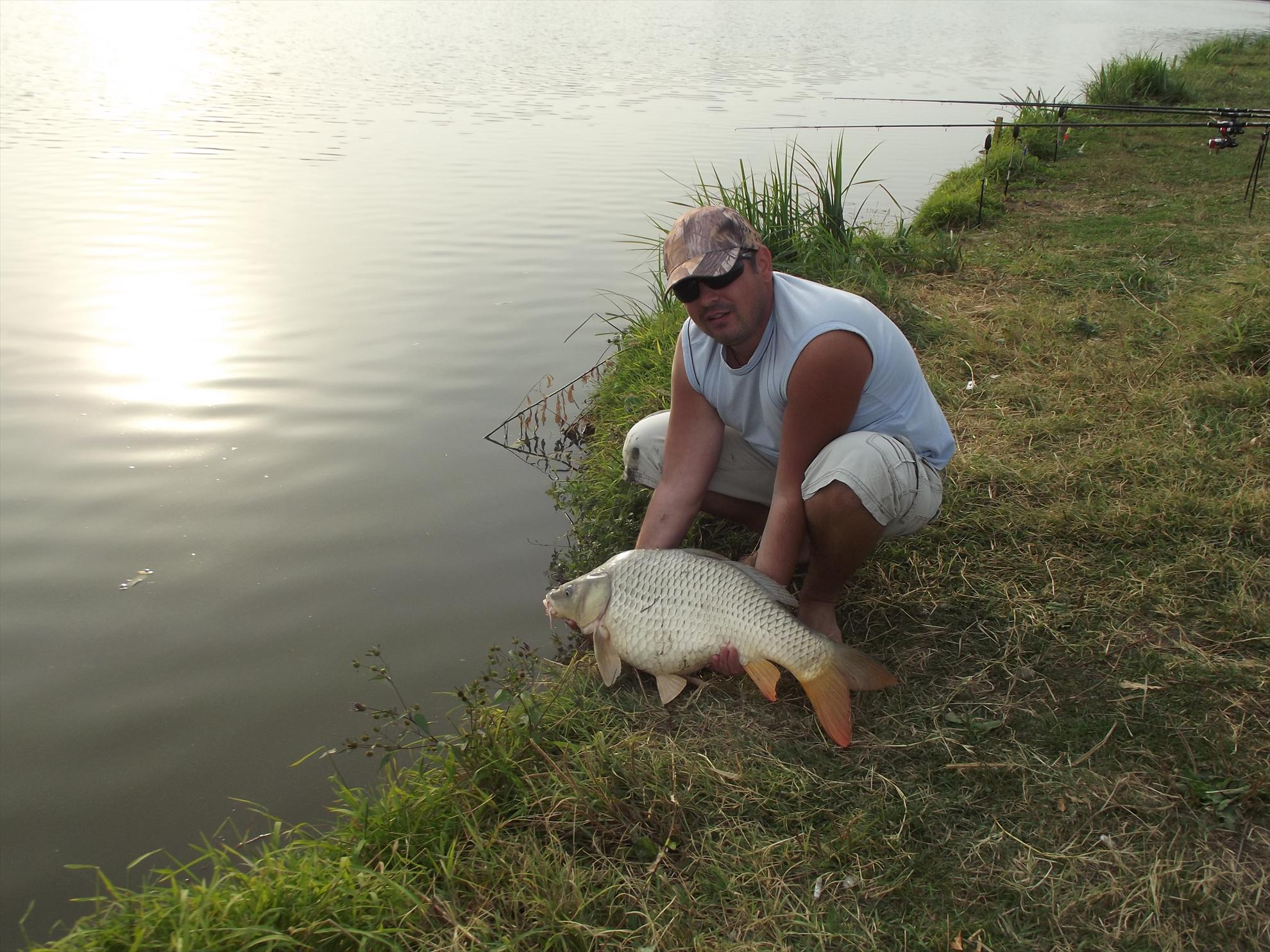 M.Vlasiei 2011 - dscf0472.JPG